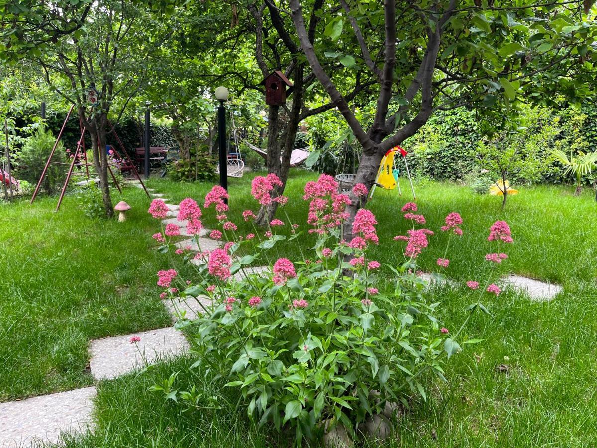 Guest House Poligloti Telavi Luaran gambar