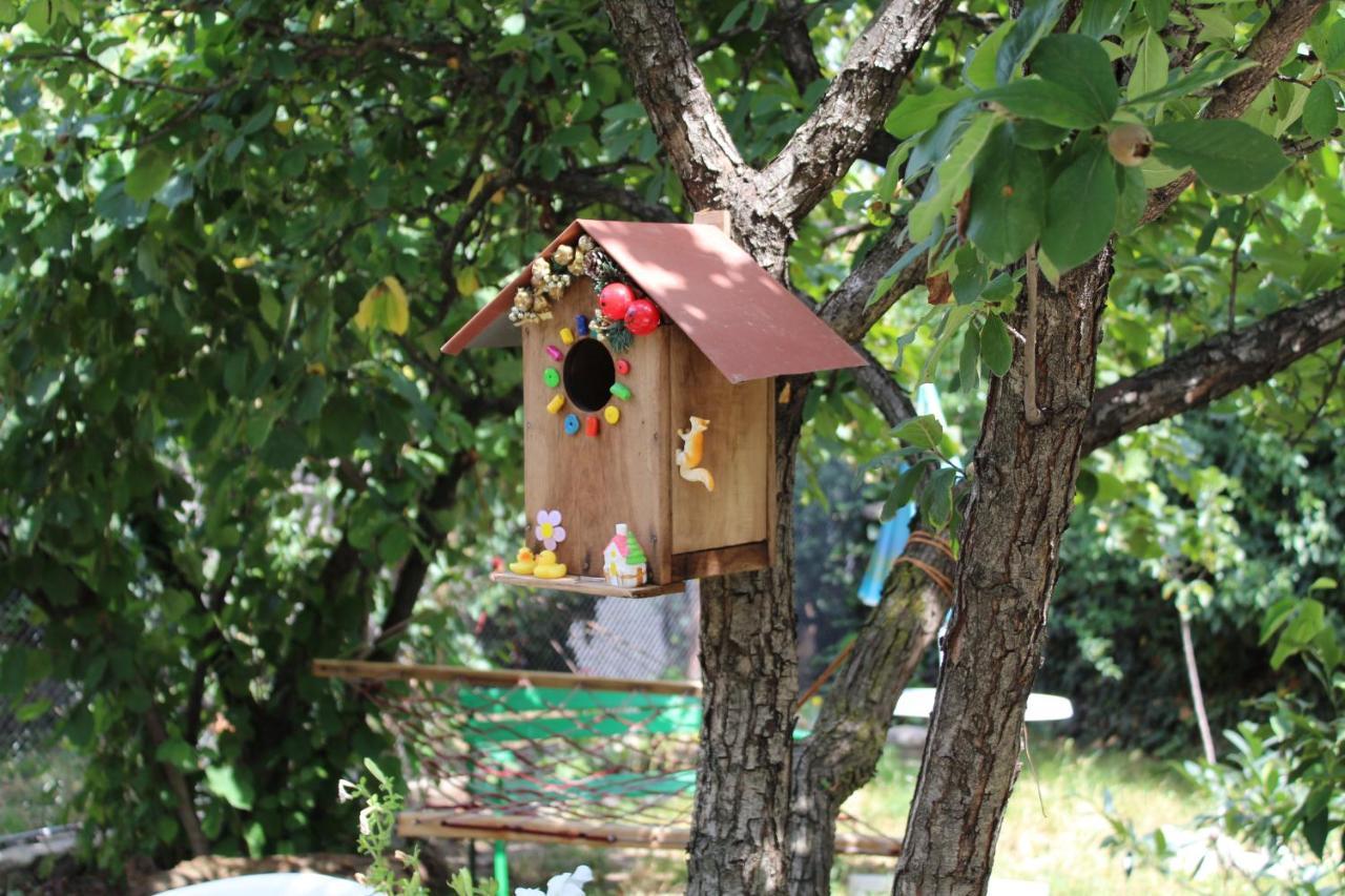 Guest House Poligloti Telavi Luaran gambar
