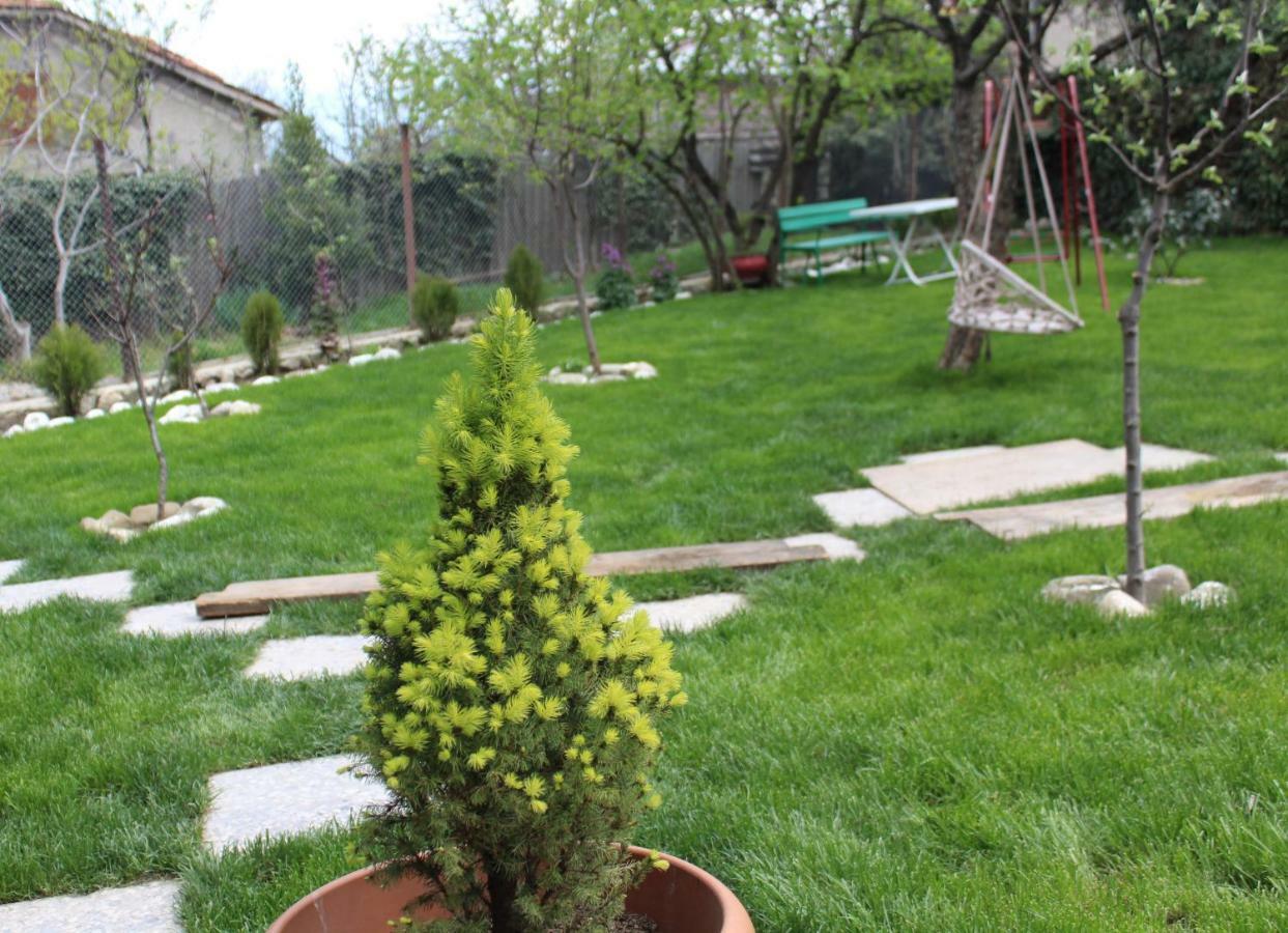 Guest House Poligloti Telavi Luaran gambar