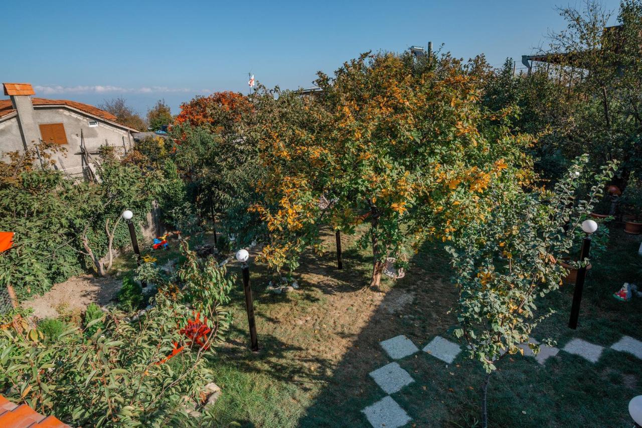Guest House Poligloti Telavi Luaran gambar